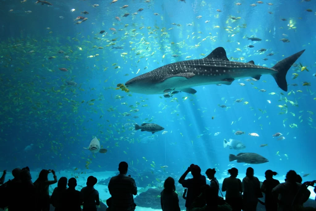 Top Singapore Family Travel Spots for Kids and Parents in 2024 4 Singapore family travel spots