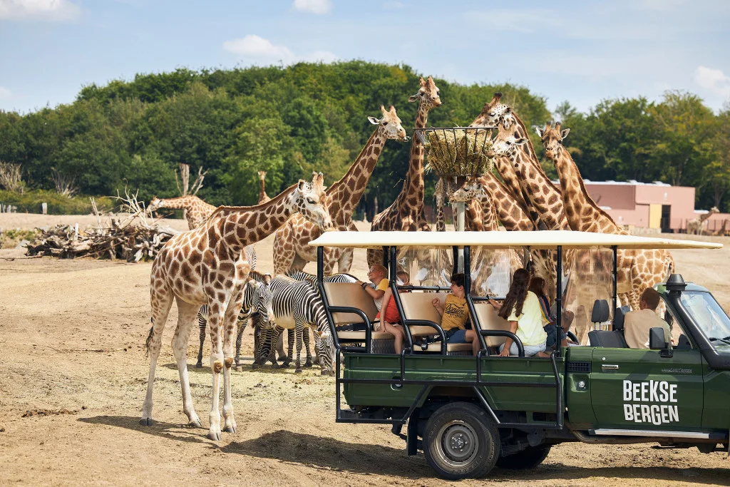 Ultimate Fun Guide to Netherlands Family Travel Spots in 2024 4 Netherlands family travel spots